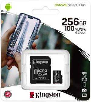 Kingston Micro SD 256GB...